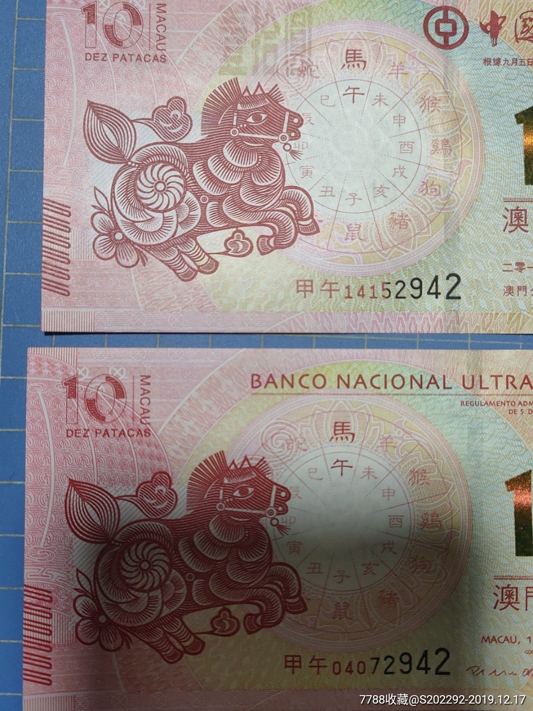 澳門馬的十二生肖是什么？帶你一探究竟，澳門馬的十二生肖揭秘，一探究竟