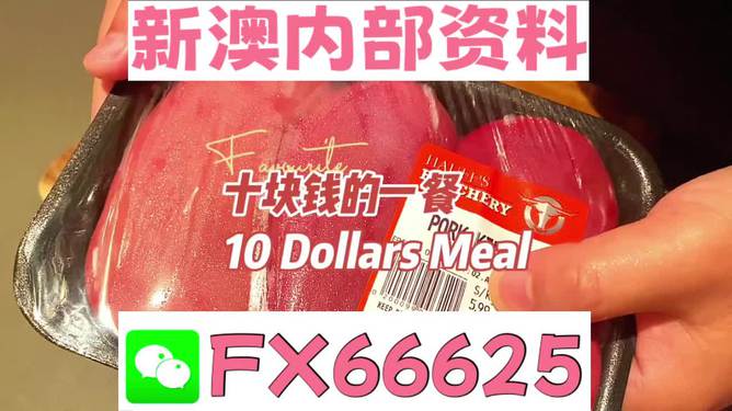 新澳2025年精準(zhǔn)資料，新澳2025年精準(zhǔn)資料概覽