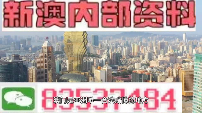 2025年澳門免費(fèi)資料精準(zhǔn)大全，澳門免費(fèi)資料精準(zhǔn)大全（2025版）